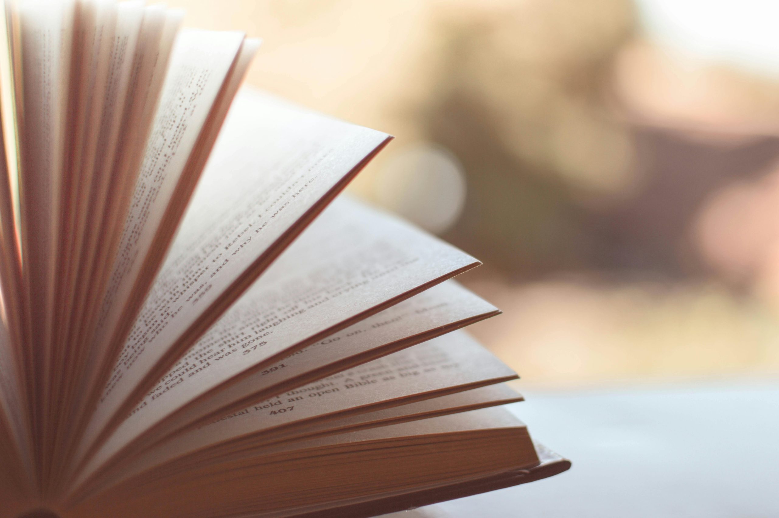 The Foundation of Value Investing: Reading, Learning, and Understanding the World